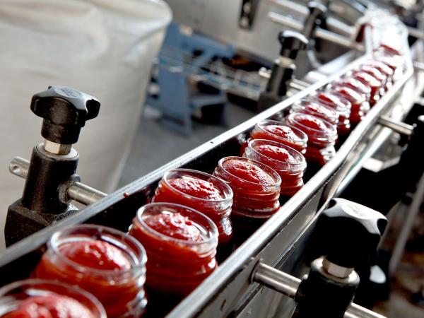 Production of tomato paste