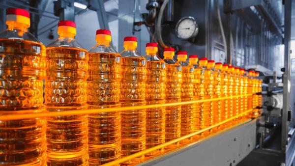 Production of vegetable oil from rapeseed, flax, sunflower seeds